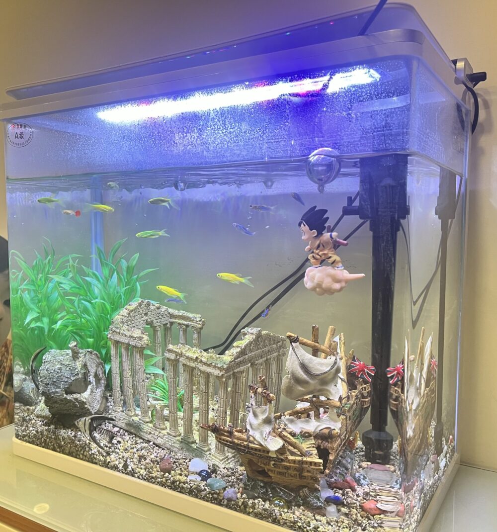 息子と作る、初めての我が家だけの水族館！ | 【40代の好奇心】